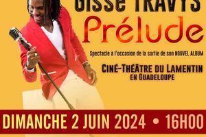 Art du spectacle dans la Guadeloupe les meilleurs spectacles  voir en 2024