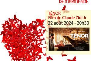 Art du spectacle dans le Lot-et-Garonne les meilleurs spectacles  voir en 2024