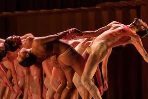 Danse dans la Seine-Maritime les meilleurs spectacles de danse en 2025