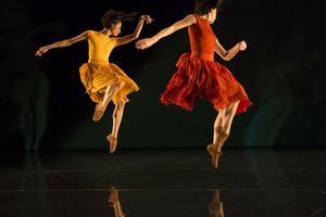 Danse dans la  Seine-Maritime les meilleurs spectacles de danse en 2023 et 2024