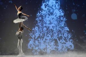 Danse dans les Hautes-Pyrnes les meilleurs spectacles de danse en 2024 et 2025