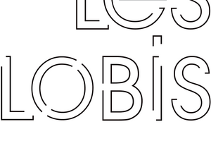 Cinma et Club Les Lobis Blois