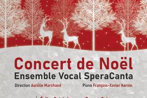 Concerts dans les  Côtes-d'Armor en 2022  et  2023