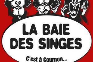 La Baie des Singes Cournon d'Auvergne 2023 et 2024 programme des spectacles