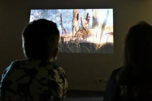 Art du spectacle dans la Haute-Marne les meilleurs spectacles  voir en 2023