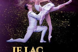 Danse dans les Alpes-de-Haute-Provence les meilleurs spectacles de danse en 2024