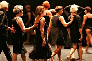 Danse dans le Morbihan les meilleurs spectacles de danse en 2024 et 2025