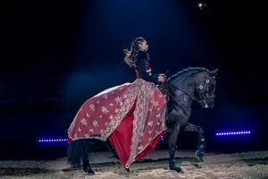 Les curies IRSEA - Real Horse - Cabaret Equestre
