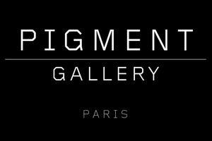 Pigment Gallery Paris