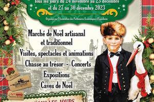 Festival dans le Haut-Rhin : programmation en 2024