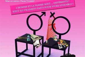 Thtre dans l'Ille-et-Vilaine les meilleures pices de thtre en 2023 et 2024