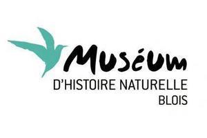 Muse Blois