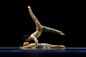 Danse dans la Haute-Garonne les meilleurs spectacles de danse en 2024 et 2025