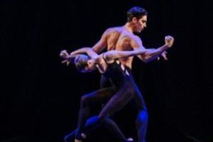 Danse dans l'Essonne les meilleurs spectacles de danse en 2024