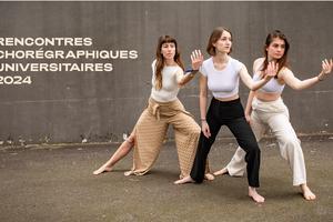 Danse dans l'Ille-et-Vilaine les meilleurs spectacles de danse en 2024 et 2025