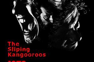 The Sliping Kangooroos