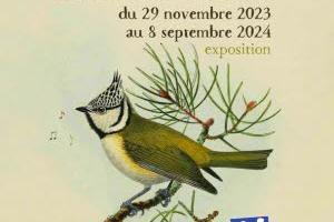 Expositions dans le Doubs les meilleures expos  voir en 2024