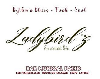 Concert/show Ladybird'z