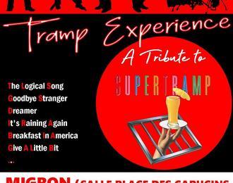 Concert Tramp Experience