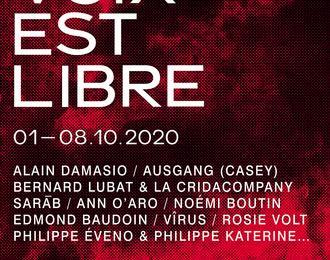 Festival La Voix Est Libre 2020 // Co-lapsus  D'mes Mles  Damasio