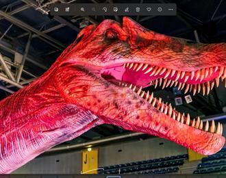 Le Musée Ephémère: Les dinosaures arrivent