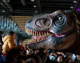 Le Muse phmre: Exposition de dinosaures