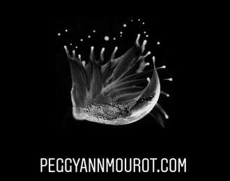Peggy Ann Mourot