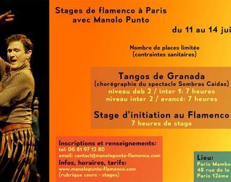 Stages De Flamenco A Paris