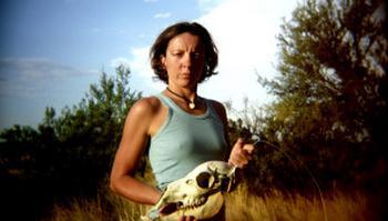 Anne Settimelli