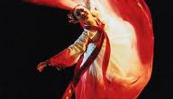 Cirque National de Chine