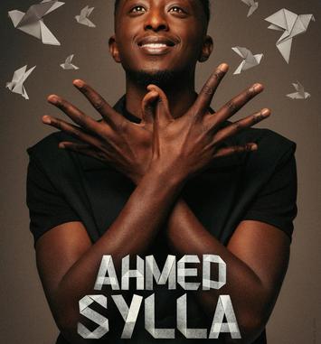 Ahmed Sylla, Origami