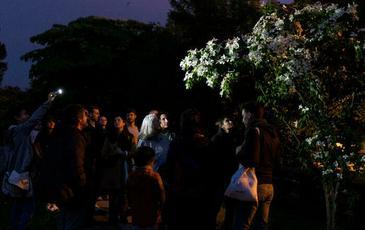 Visite botanique dans le Jardin