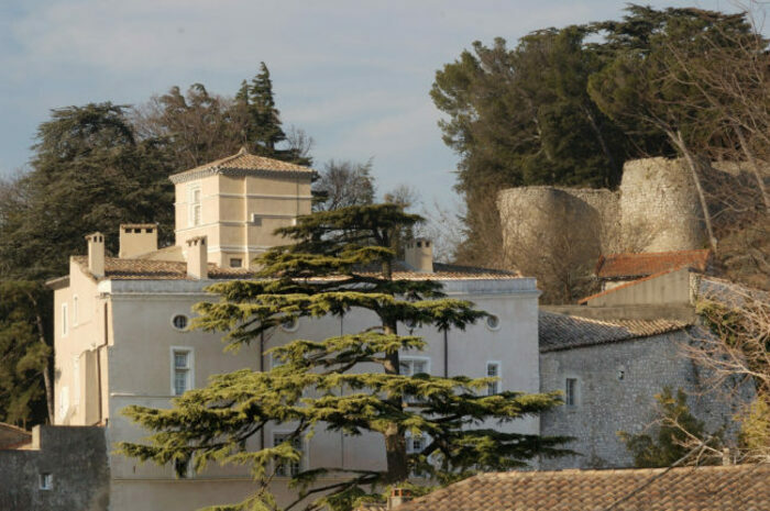 Visite du Chateau De Donzere