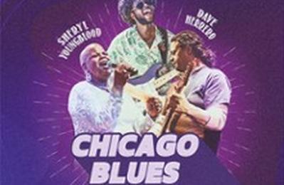 54me Chicago Blues Festival  Cleon