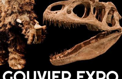 Gouvier Expo dinosaures, fossiles et préhistoire à Guerande