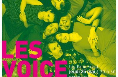Les voice messengers à Auxerre