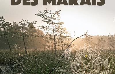 Projection documentaire Au rythme des marais des marais dans le cadre de la Journée Mondiale des Zones Humides à Amiens