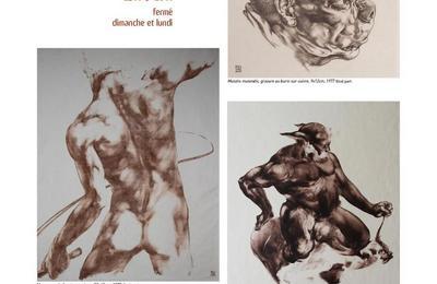 Mutatis Mutandis, rtrospective de l'oeuvre de Luc Peltriaux  Toulouse