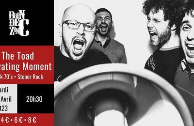 The Toad Elevating Moment, Rock 70's, Stoner Rock  Barberaz