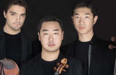 Concert Vienna ! par le Trio Arnold  Magny le Hongre
