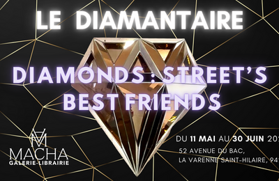 Exposition du diamantaire diamonds, street's best friends chez macha galerie  Saint Maur des Fosses