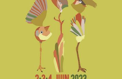 Drles d'oiseaux  Festival de chanson  plume 2024
