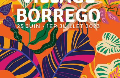Festival Village Borrego 2024