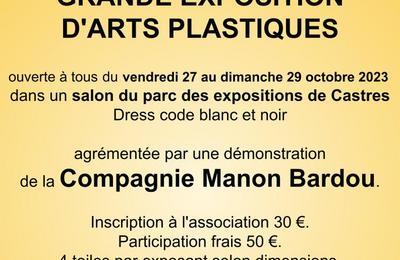 Grande exposition d'arts plastiques  Castres
