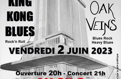 Concert Rock'n Roll Et Blues  Monts sur Guesnes