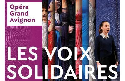 Les Voix Solidaires à Avignon