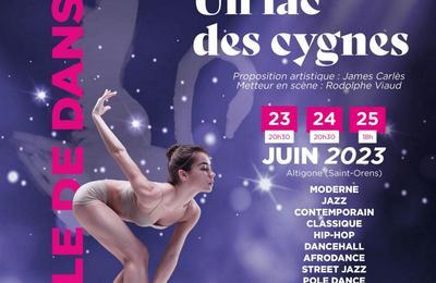 Un lac des Cygnes, spectacle de fin d'anne du Centre Chorgraphique James Carls  Toulouse