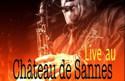 Don Billiez 4tet au Chateau de Sannes