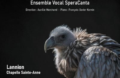 L'ensemble vocal SperaCanta, Requiem de Wolfgang Amadeus Mozart à Lannion