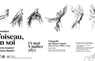 Exposition L'oiseau, en soi  Auray